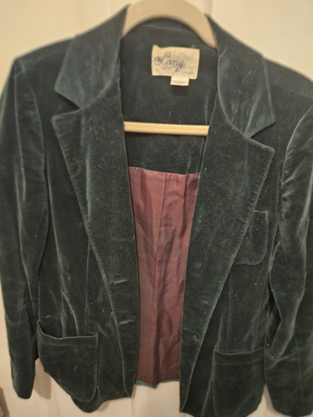 Lanz Velvet Blazer in Deep Green